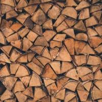 legna da ardere sfusa o in sacconi