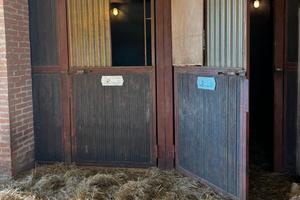Box per cavallo