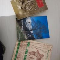 Beccacce e beccacciai di Garavini