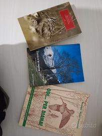 Beccacce e beccacciai di Garavini