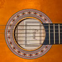 Chitarra Arrow ST369