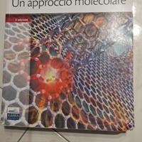 Chimica, un approccio molecolare