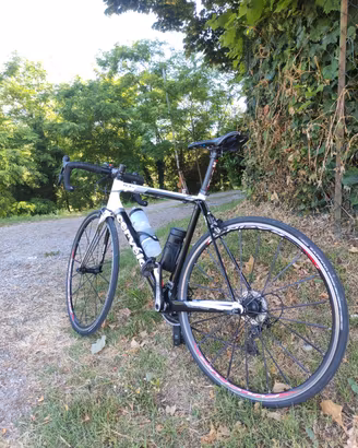 cervelo r3 sl 