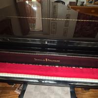 Pianoforte a coda 198
