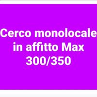 C.e.r.c.o monolocale
