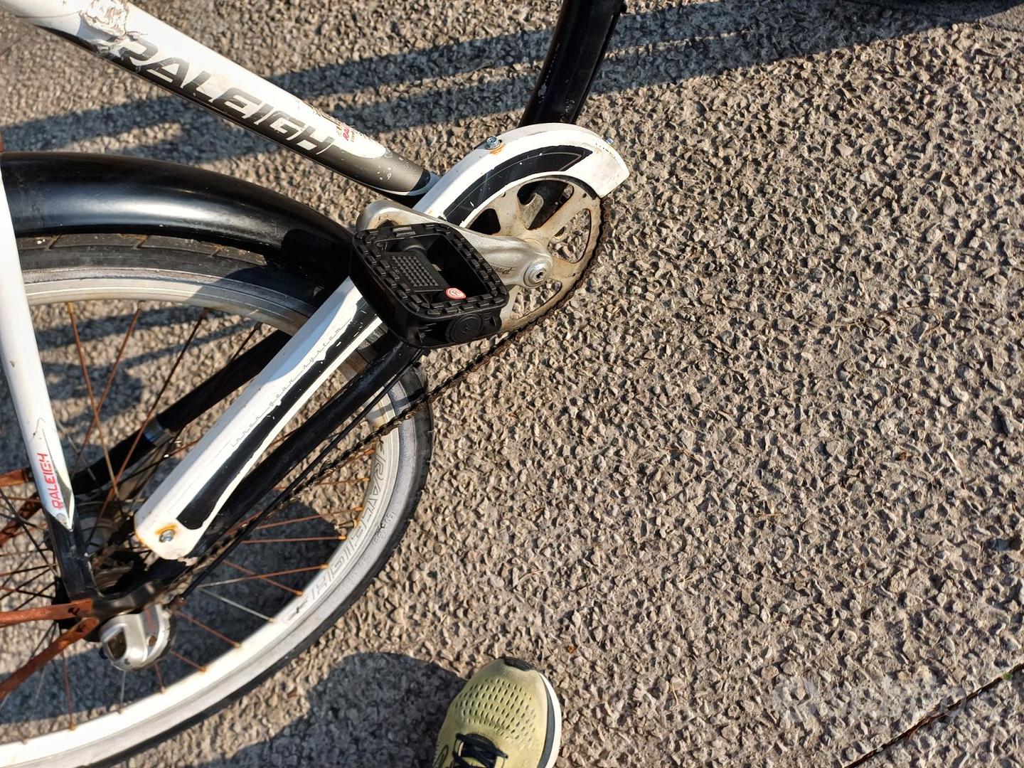 Bici Mountain Bike Uomo Bicicletta Da Trekking Raleigh RUSHHOUR