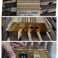 Amplificatore Gold line pk85