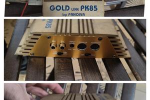 Amplificatore Gold line pk85