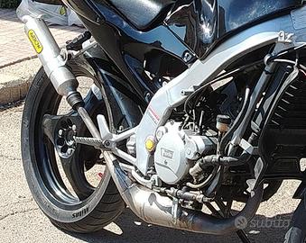 Scarico arrow am6