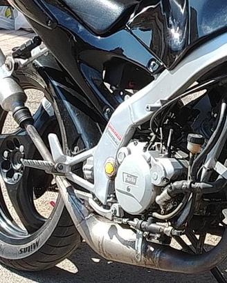Scarico arrow am6