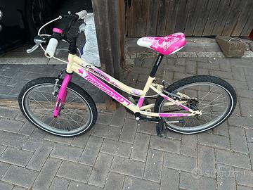 bici 20