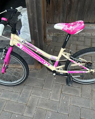 bici 20
