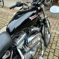 Harley Davidson 883