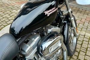 Harley Davidson 883