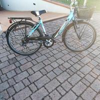 bicicletta frera divina