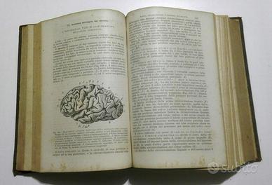 Raro Volume 'Trattato di Anatomia Patologica'