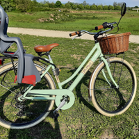 Bicicletta Retrò donna Alluminio Verde