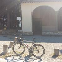 Passoni Ray Carbon 