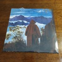 Disco vinile 45 giri Joy Division