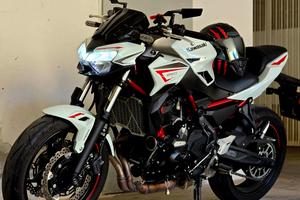 kawasaki Z 650 Performance Abs