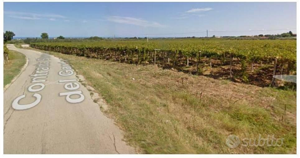 Terreno di 13180 m² a Rocca San Giovanni - Vista 4
