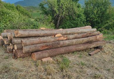 Legna - Tronchi di castagno