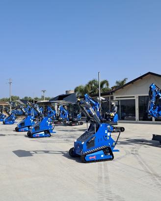 Minipale Rippa cingolata