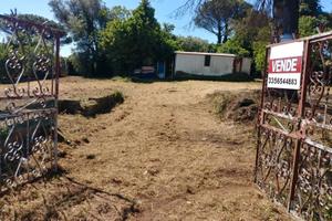 Pomezia nord, terreno con rustico