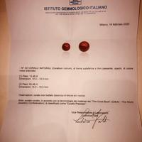 Corallo rosso del mediterraneo
