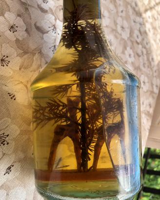 Grappa dolzan vintage