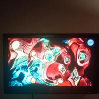 televisione LE 50PG3000 50" FUNZIONANTE 