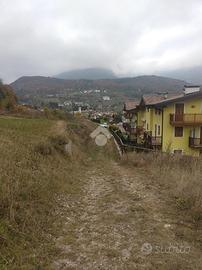 TER. RESIDENZIALE A CAVEDAGO