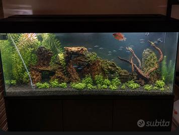Acquario 280 litri luce led mobile