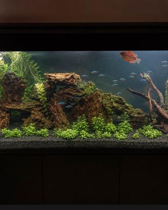Acquario 280 litri luce led mobile