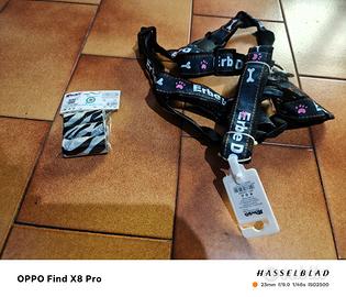 pettorina guinzaglio sacchetti pupù 