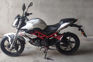 moto Benelli bn 125 