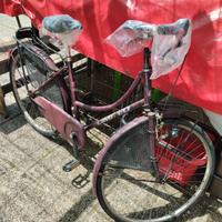 bicicletta Olandese 