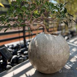 Vaso fatto a mano - Bolla #3 - 35x35x35 - 6kg