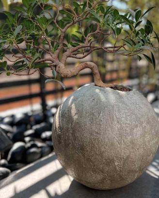 Vaso fatto a mano - Bolla #3 - 35x35x35 - 6kg