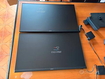Coppia di monitor Samsung S30GD 24" FHD IPS 100HZ