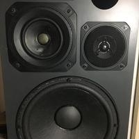 Casse acustiche Toa 312 reference monitor