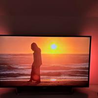 TV Philips 55 pollici