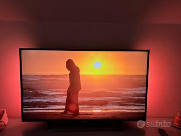 TV Philips 55 pollici