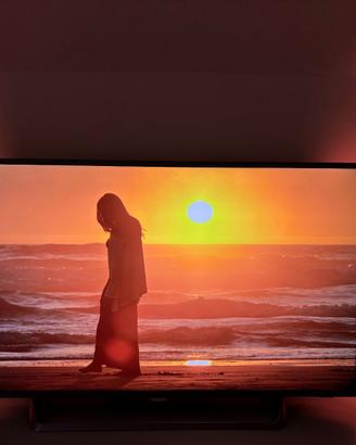 TV Philips 55 pollici