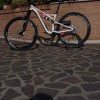 Specialized Camber 29