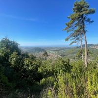 Gestione agriturismo