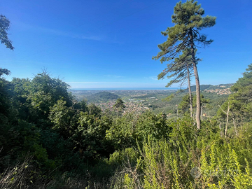 Gestione agriturismo