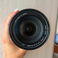 Sigma 17-50mm f/2.8 EX DC OS HSM