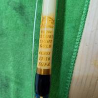 Normic Record Ligt Gold.