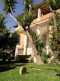 Casa indipendente con giardino